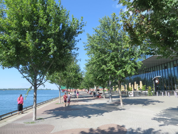 Pam McConnell has brought investment in important public spaces and accelerated plans for affordable housing on the waterfront.  Pam works to make the new waterfront community healthy and inclusive